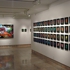 Installation_-birds_and_chromomed