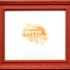 Gottliebnoplacelikehome_2
