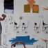 Lifting-chromosome-web