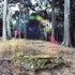 Bischoff_coloroverrock