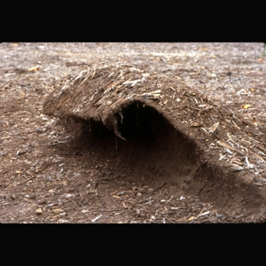 Dirt_break