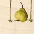 Pear_03_crop