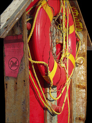 Red Skerrie Saver #2 (detail),Laura Lynch
