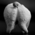 07_delgado_organic_manifesto_lemon