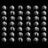 11_delgado_organic_manifesto_spin