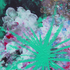 Aqua_rising_10-17-08