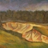 Ravine_in__the_forest