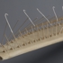 Wing-detail