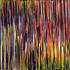 Forest-vines