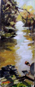Calicoon_creek_6
