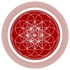 Universal_dictionary_234