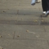 Sharonhayesmajorbanner