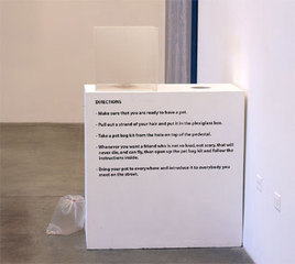 Pet Bag Instruction,Sojung Kwon