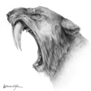 Sabre-toothed-tiger