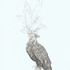 20120515195557-2012eagle