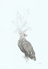 20120515195557-2012eagle